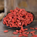 Wholesale Health Dehydrated Fruit Goji Berry Lycium chinensis